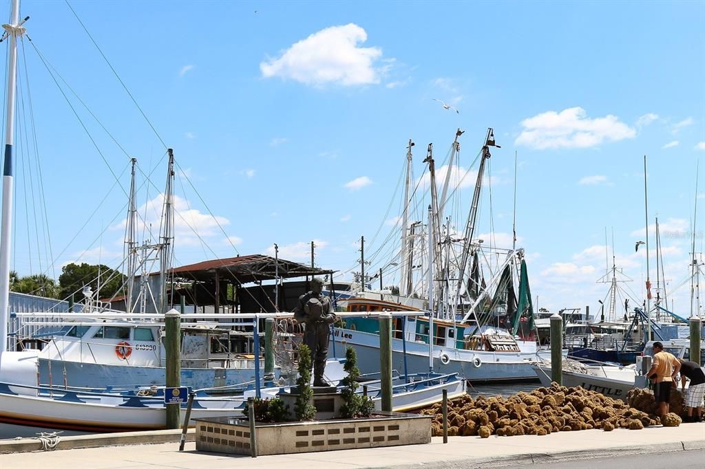 World Famous Sponge Docks