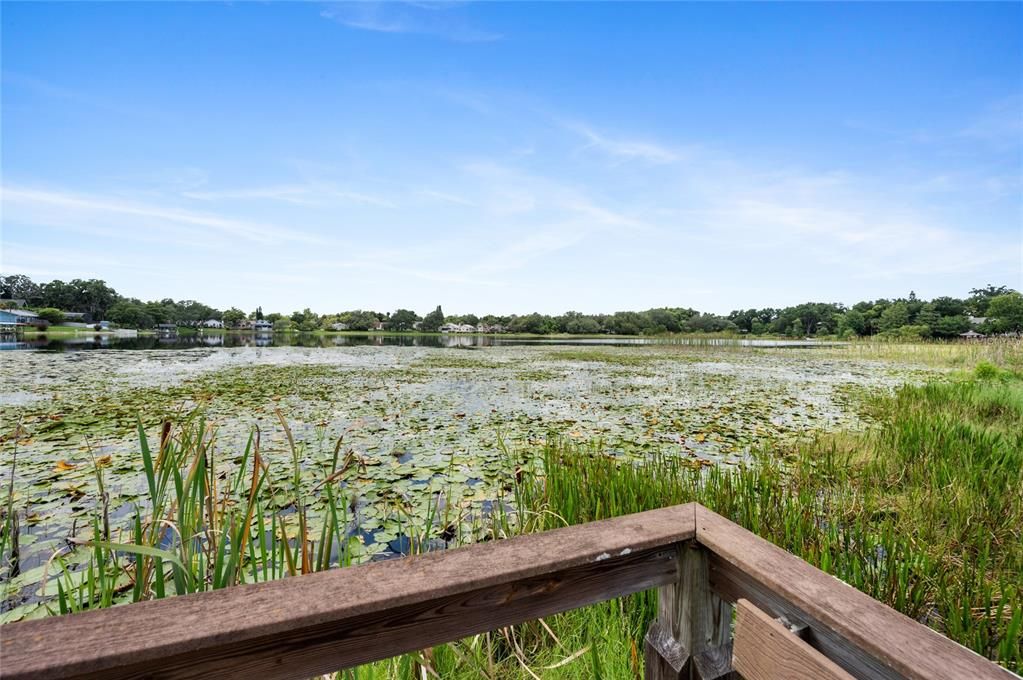 Public Boat Ramp