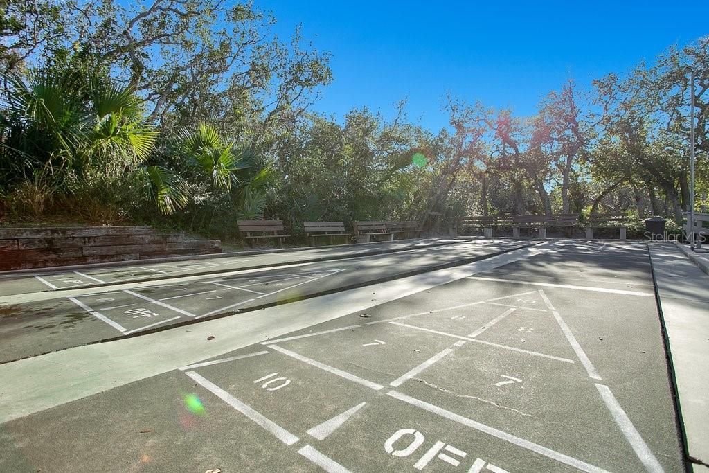 Shuffleboard