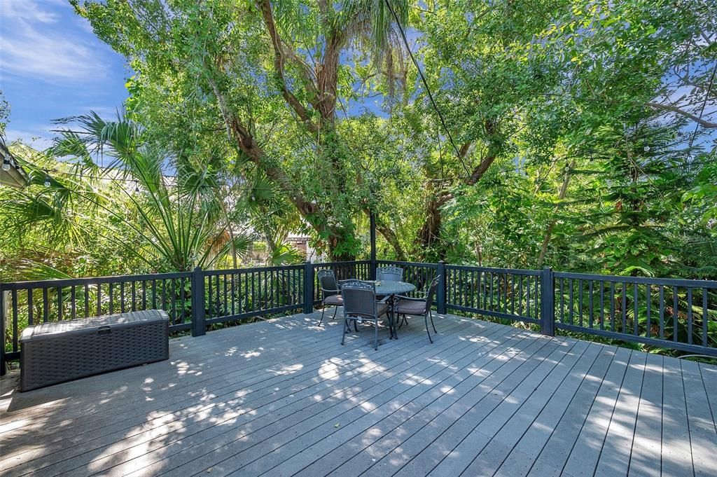 Large Backyard surrounded by lush Florida landscape