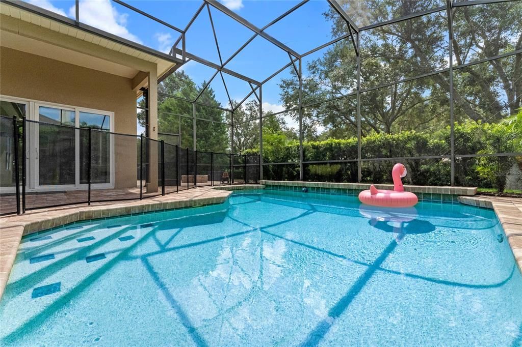 Saltwater Pool with Child Security Fence