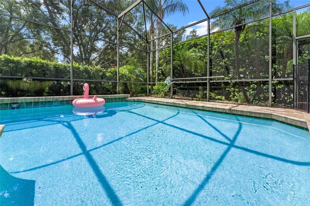 Saltwater Screen Enclosed Pool