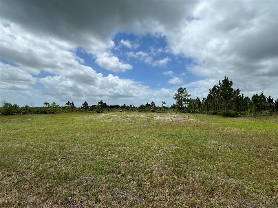 For Sale: $54,900 (1.50 acres)