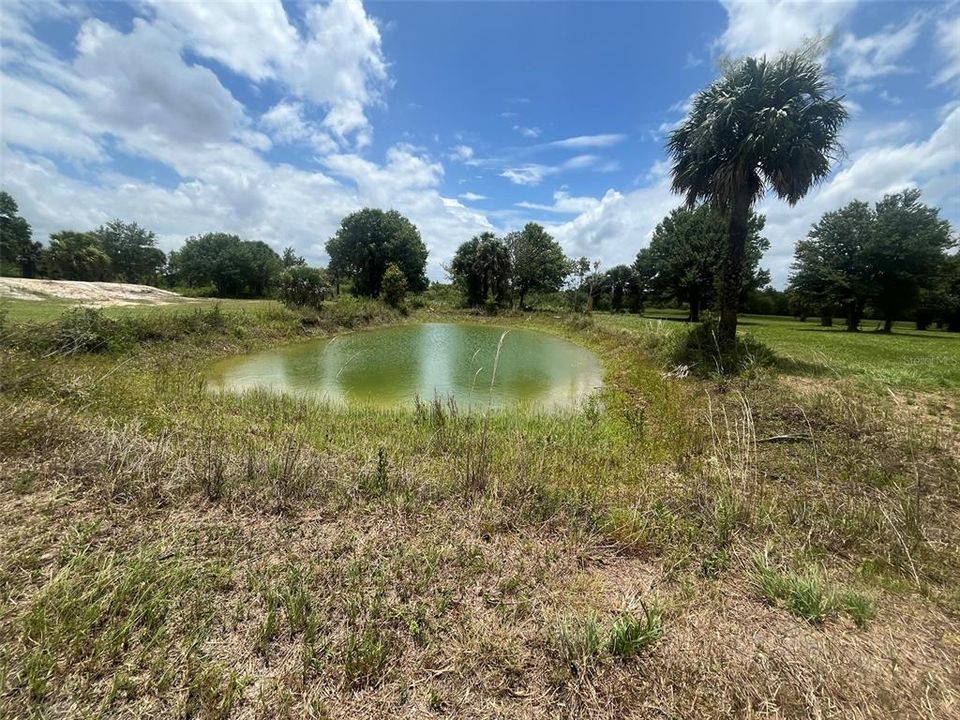 En Venta: $54,900 (1.25 acres)