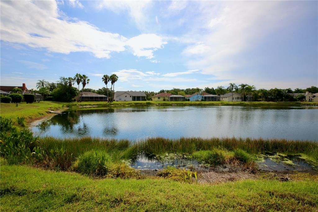 For Sale: $565,000 (3 beds, 2 baths, 2319 Square Feet)