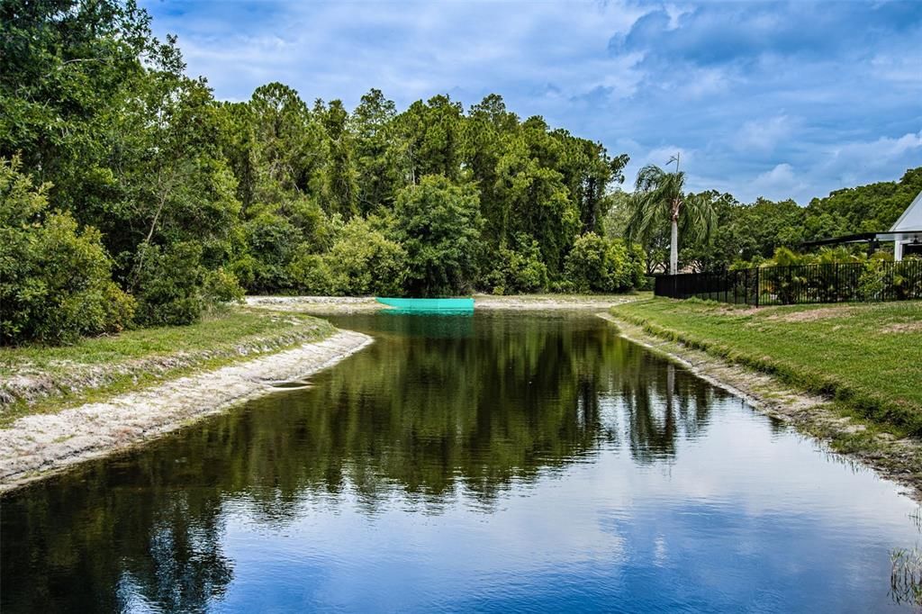 POND AND CONSERVATION VIEW