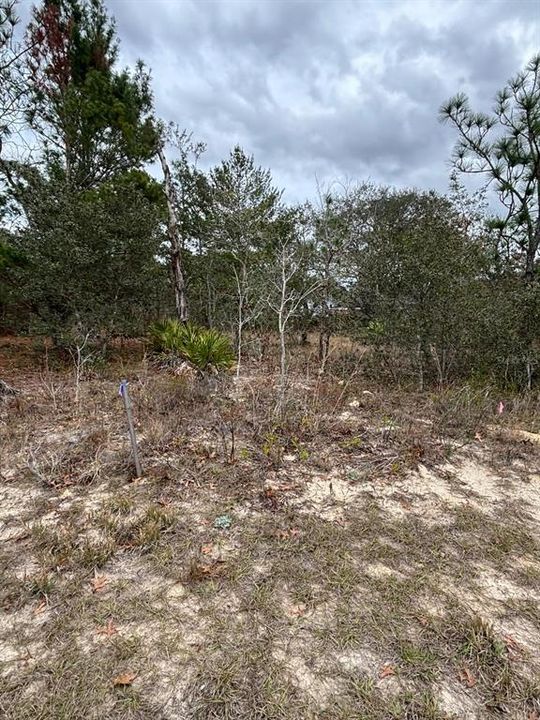 Vendido Recientemente: $35,000 (0.38 acres)