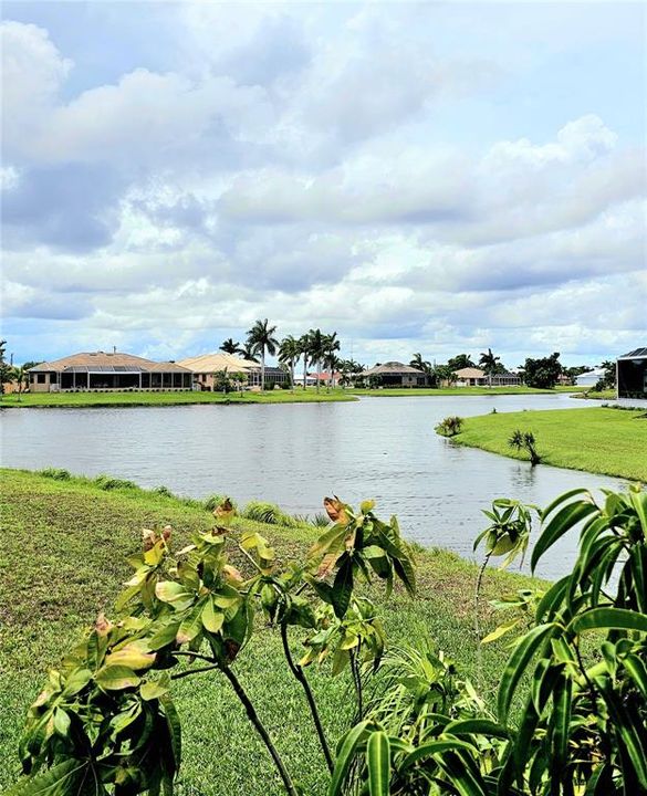 Lake view from side yard