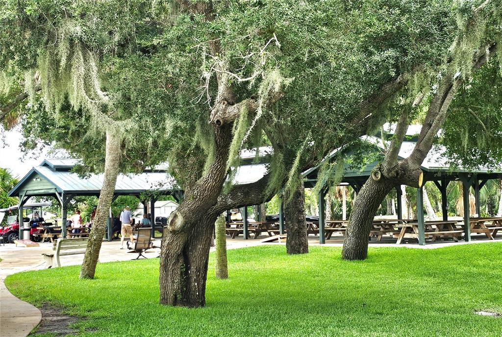 Community covered pavillions and picnic area