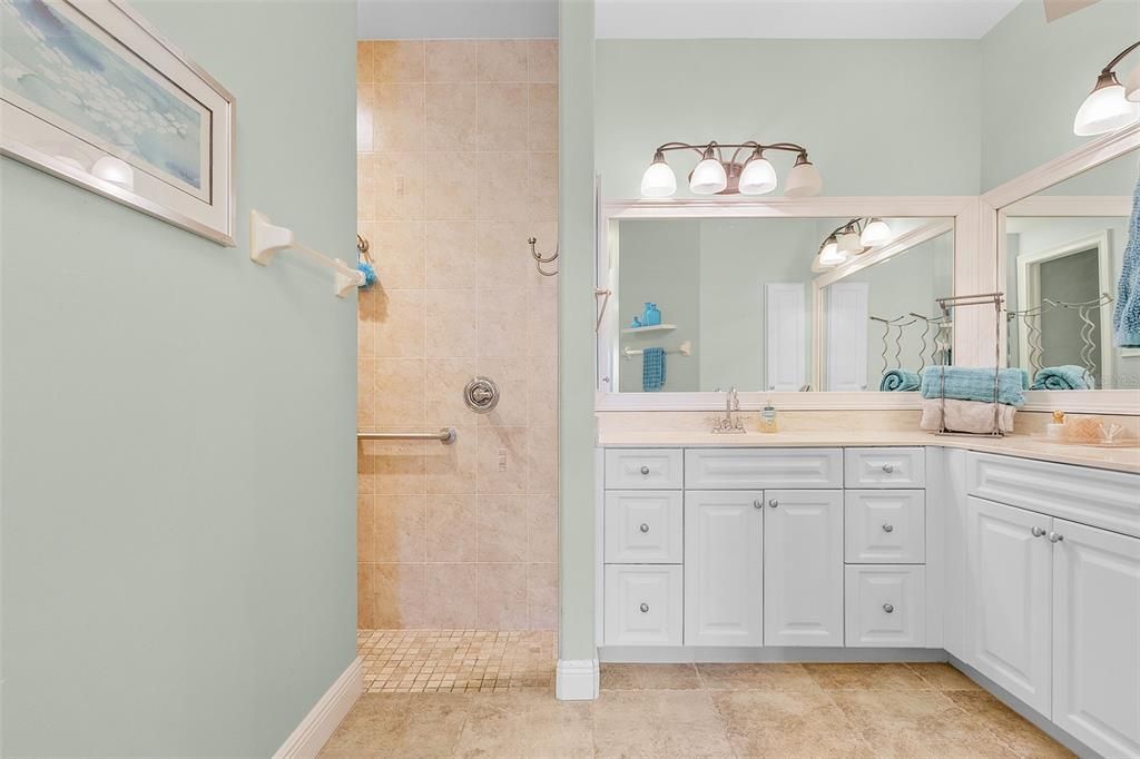 Master bath showing entrance to walk-in shower