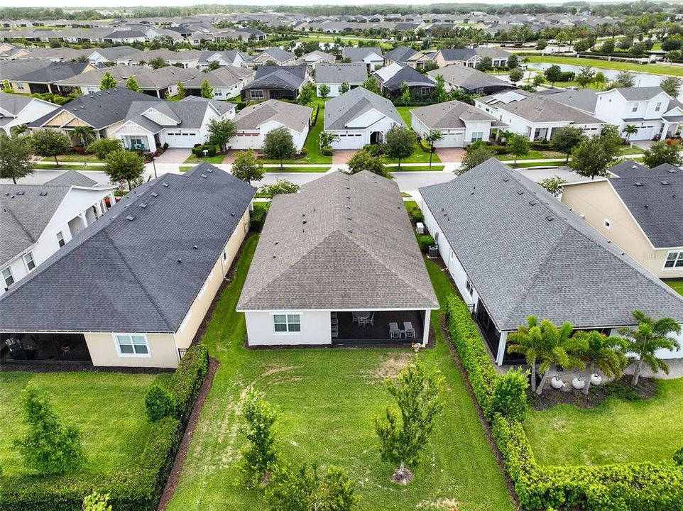 Aerial view of the backyard