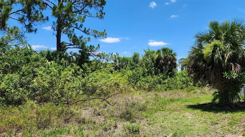 En Venta: $35,000 (0.23 acres)