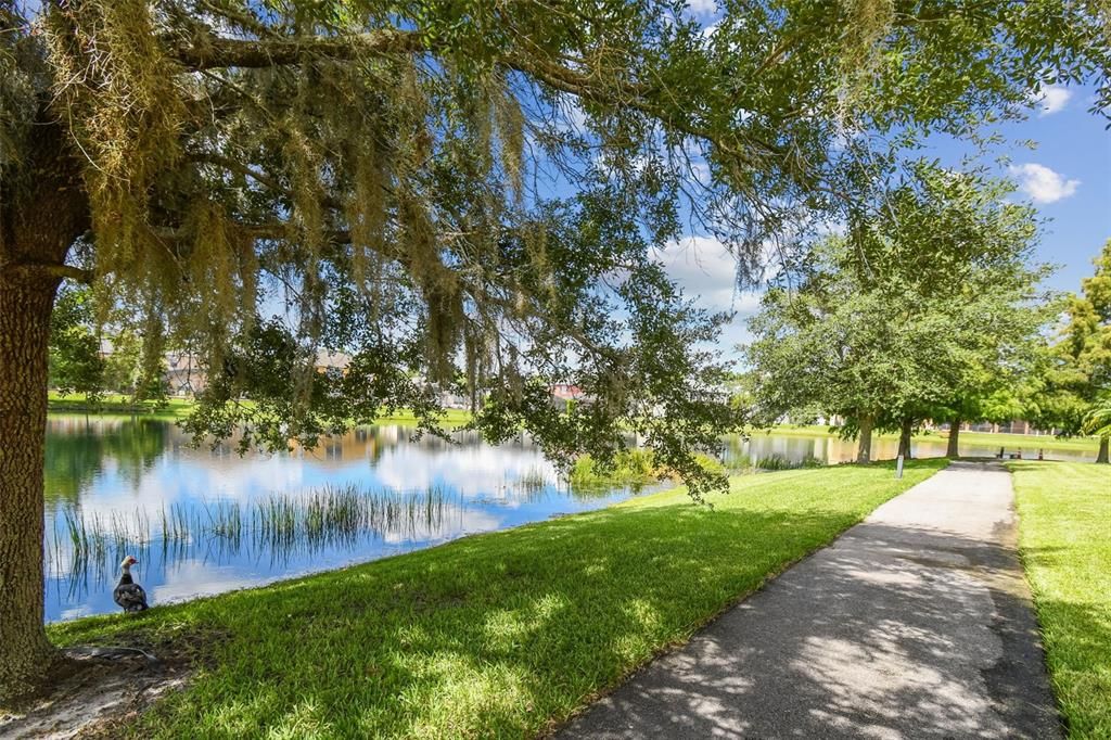 WALK ALONG THE WATER