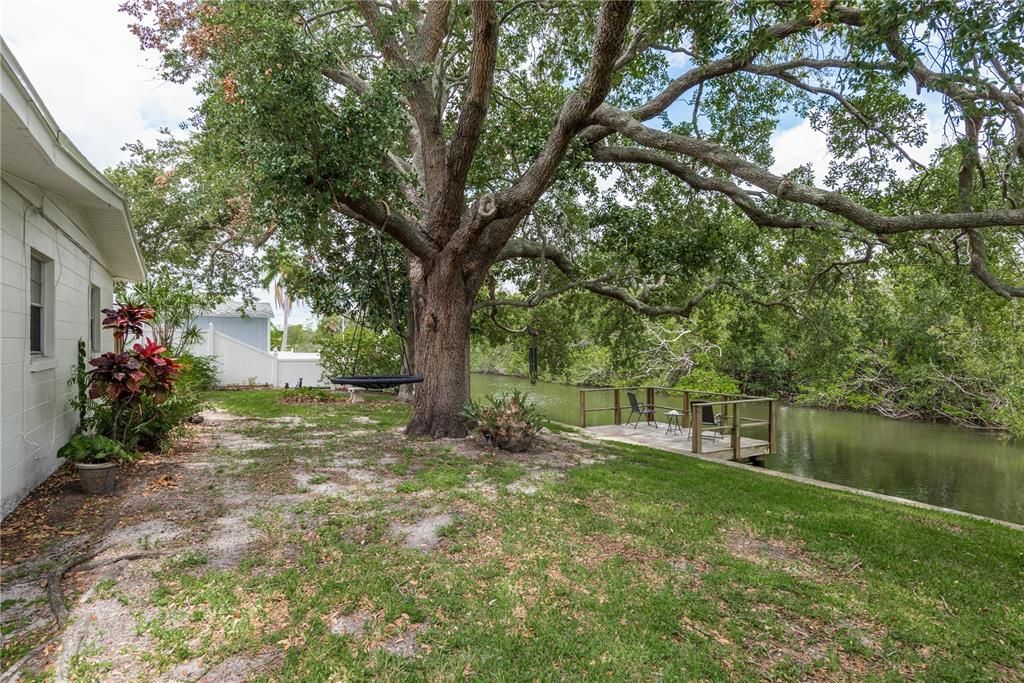 Serene back yard