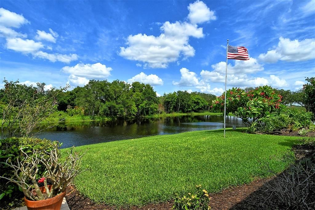 Your luxurious back yard with a well for watering