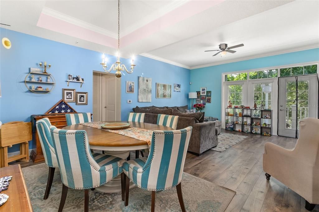 Dinning/Living Room Combo with Tray Ceiling