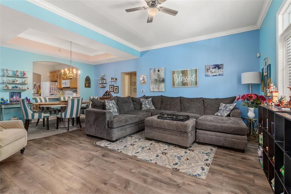 Dinning/Living Room Combo with Tray Ceiling