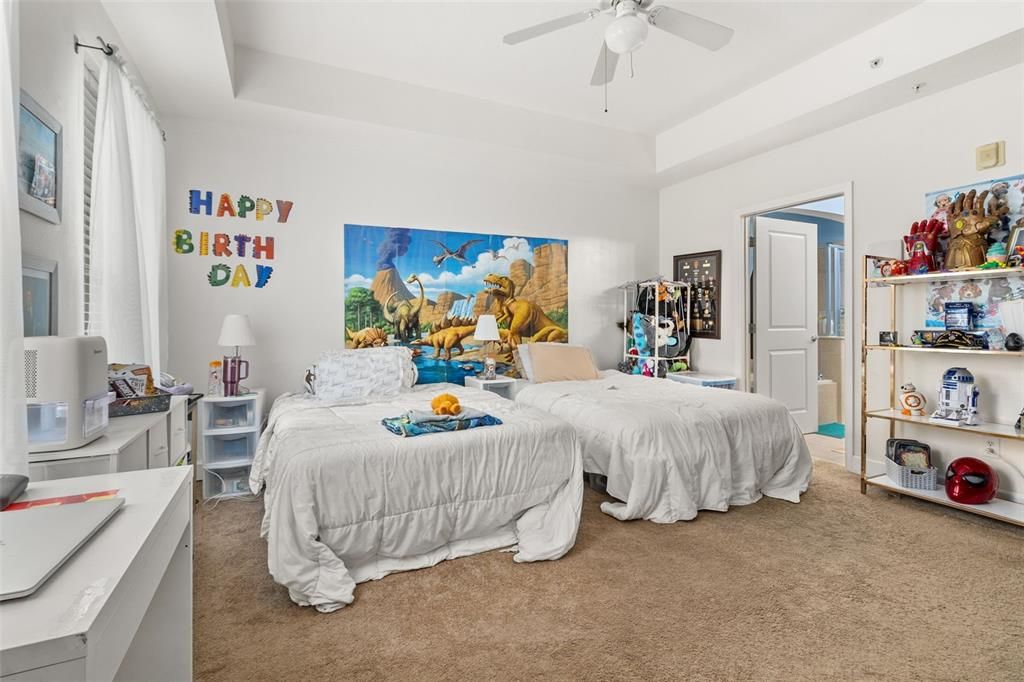 The primary bedroom offers a tray ceiling and a spacious walk-in closet