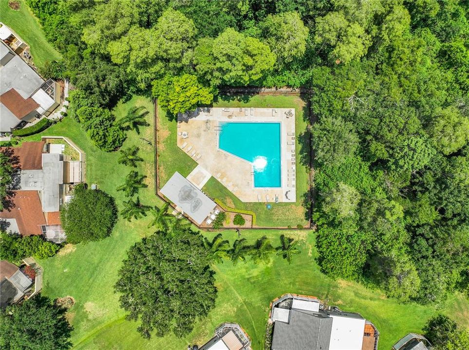 REFRESHING POOL AND BEAUTIFUL SURROUNDINGS