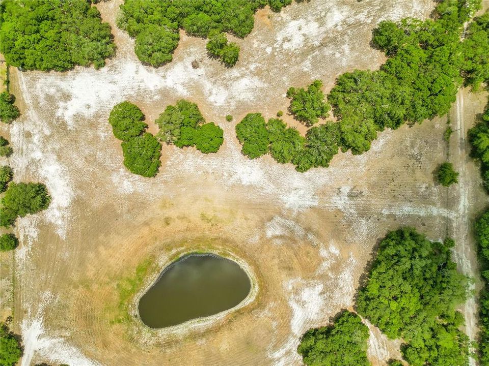 Spring fed lake