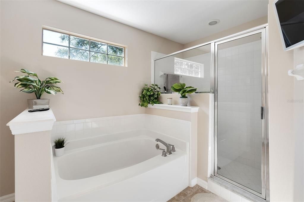 Garden Bathtub and Walkin Shower