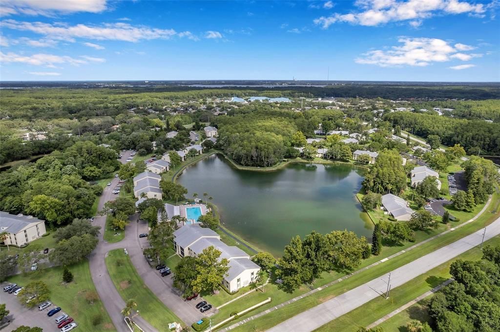 Community pool overlooks the pond