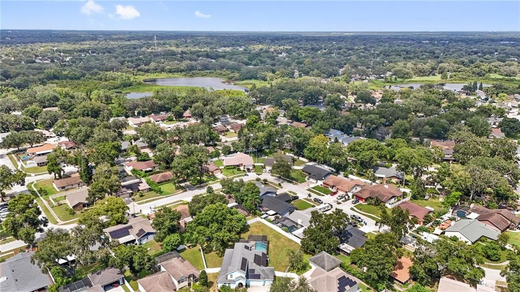 Look at that horizon...less than an hour drive from Clearwater Beach and 25 minutes to Apollo Beach...one of the main reasons for living in the Tampa Bay area!