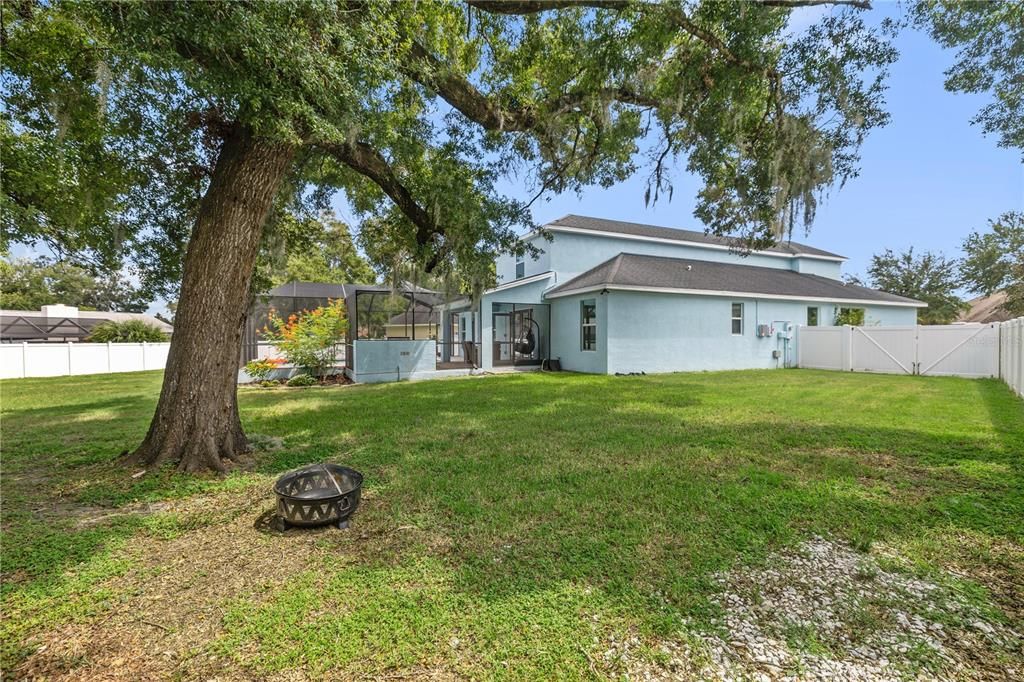 Expansive rear lawn, with all sorts of room for different activities. Check out those double gates for bringing in large lawn equipment, etc...