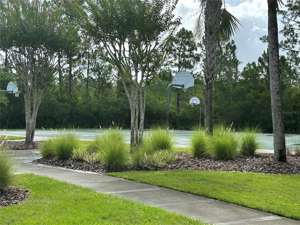 Community Park 2 Basketball Courts