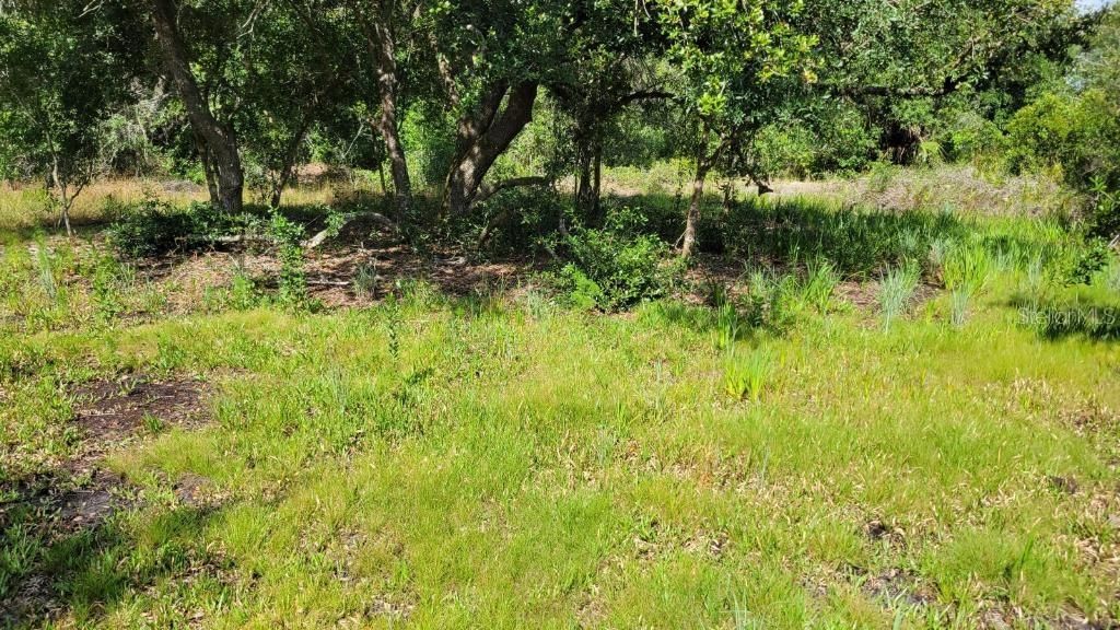 En Venta: $31,900 (2.50 acres)