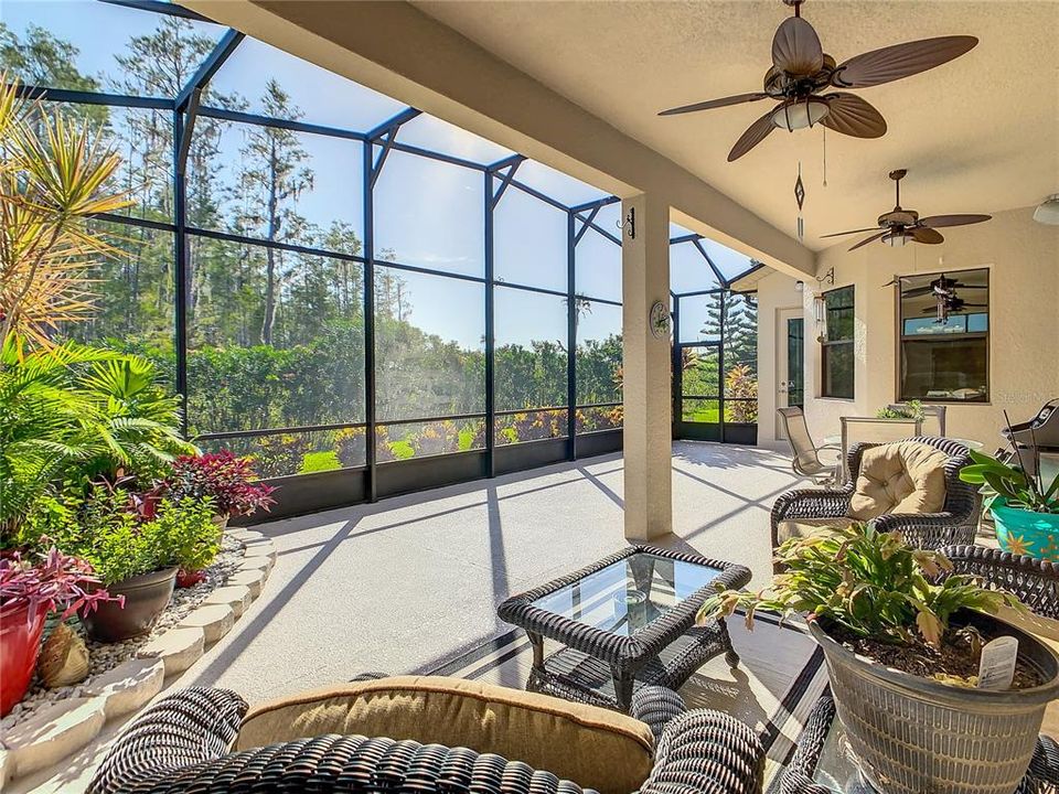 SCREENED LANAI OVERLOOKING CONSERVATION