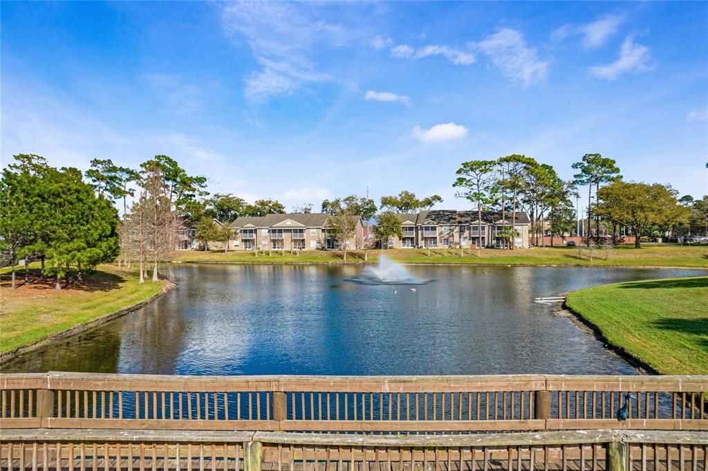 Boardwalk with pond view