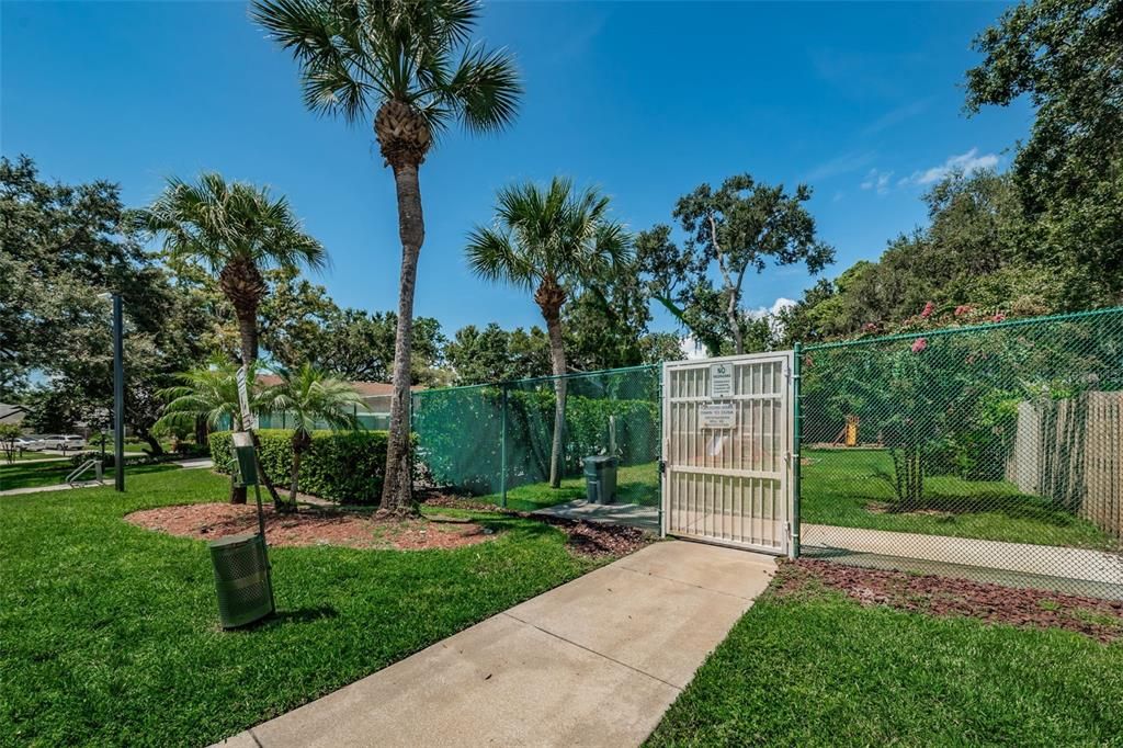 Entrance & Front Porch