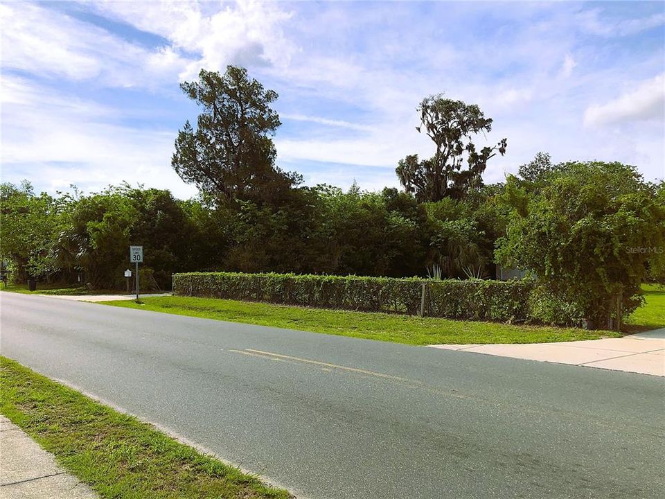 NE CORNER OF PROPERTY LOOKING WEST ON POWELL ROAD ALONG 183 FT ROAD FRONTAGE