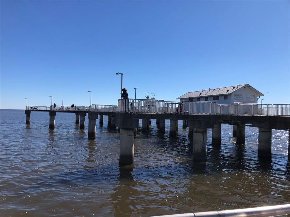 CEDAR KEY PIER ON GULF OF MEXICO 50 MINUTES FROM THE PROPERTY