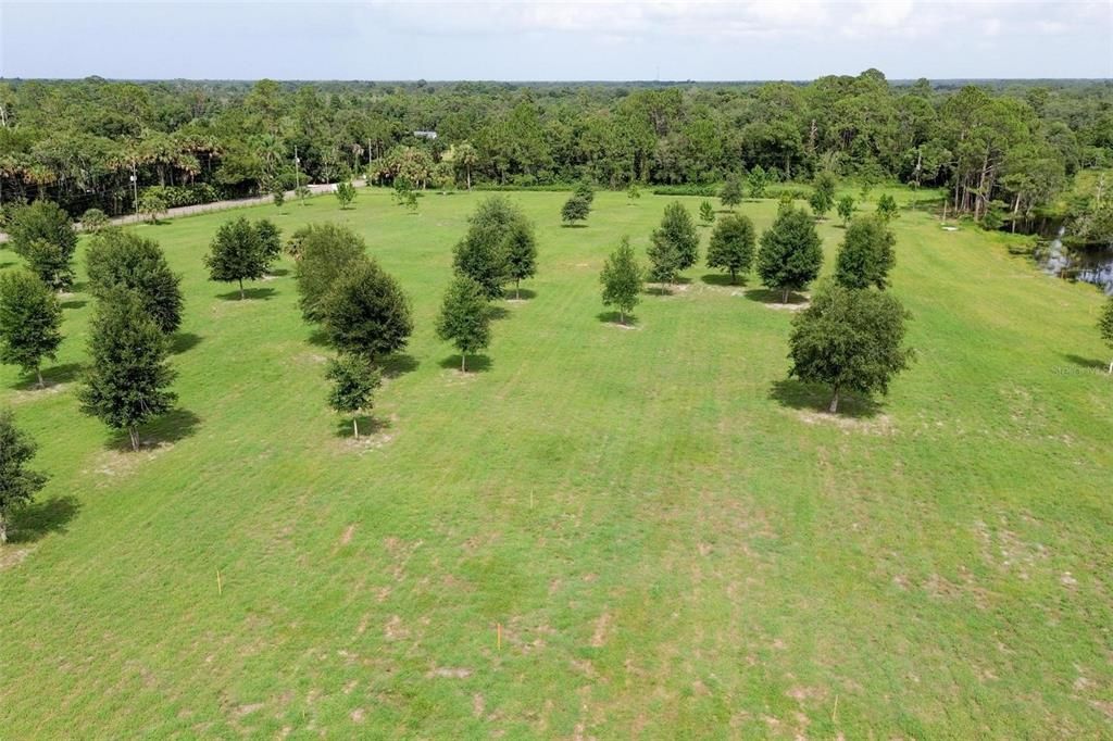 For Sale: $399,000 (6.53 acres)