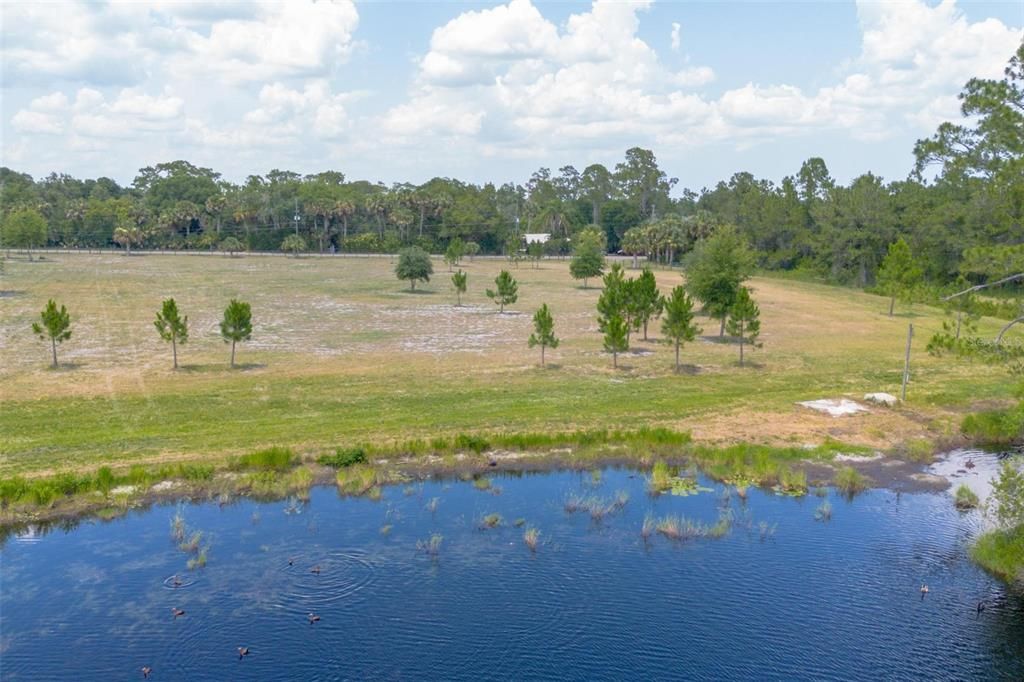 For Sale: $399,000 (6.53 acres)