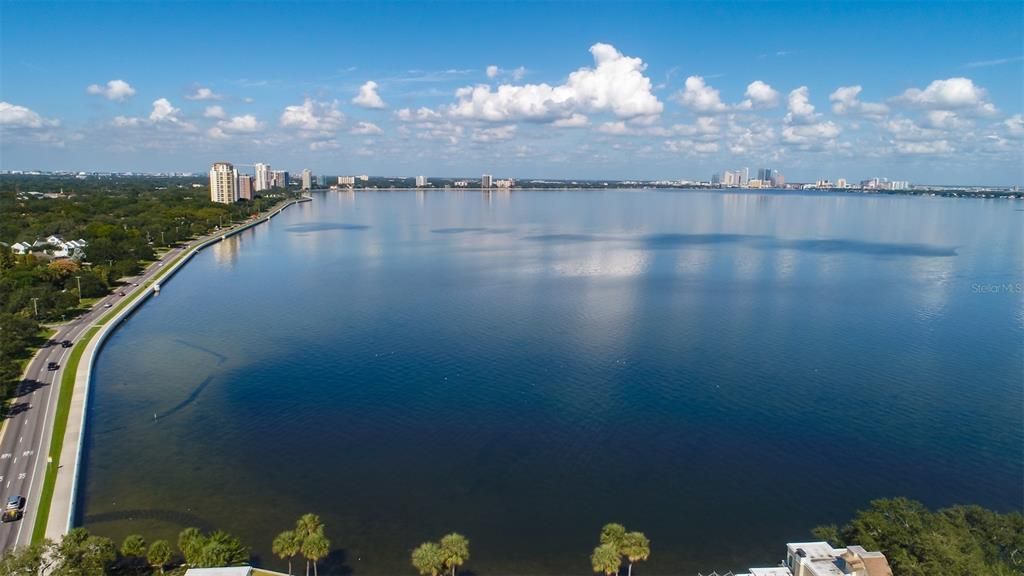 Aerial View of Bayshore Blvd