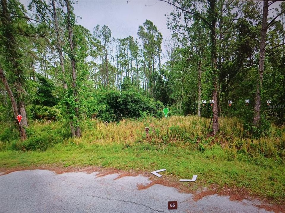 For Sale: $11,999 (0.25 acres)