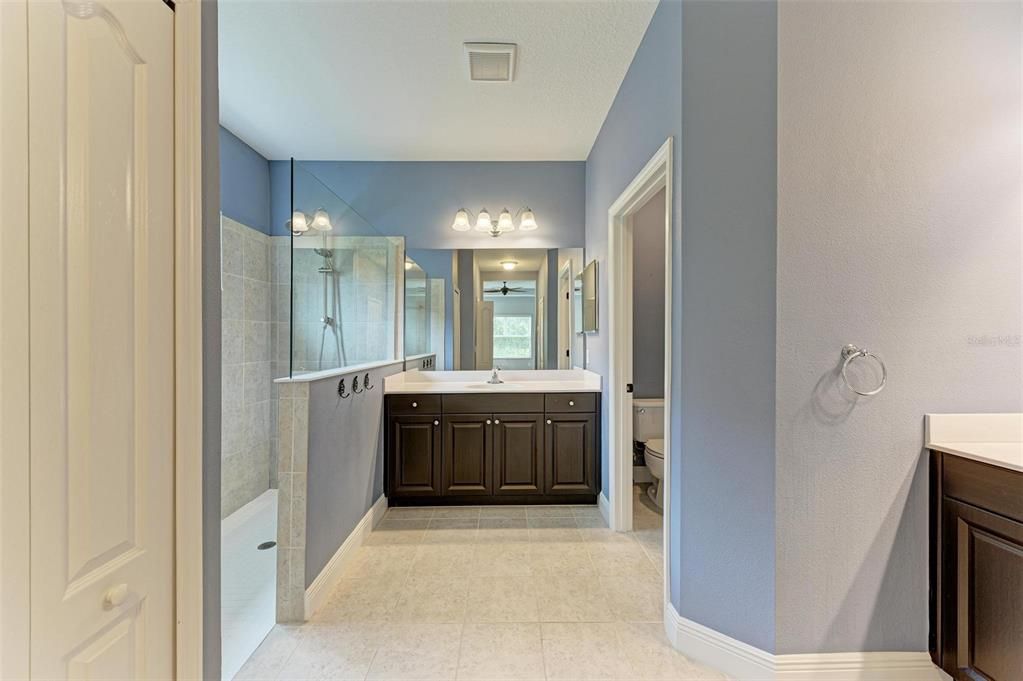 Vanity and Walk in Shower in Primary Bathroom