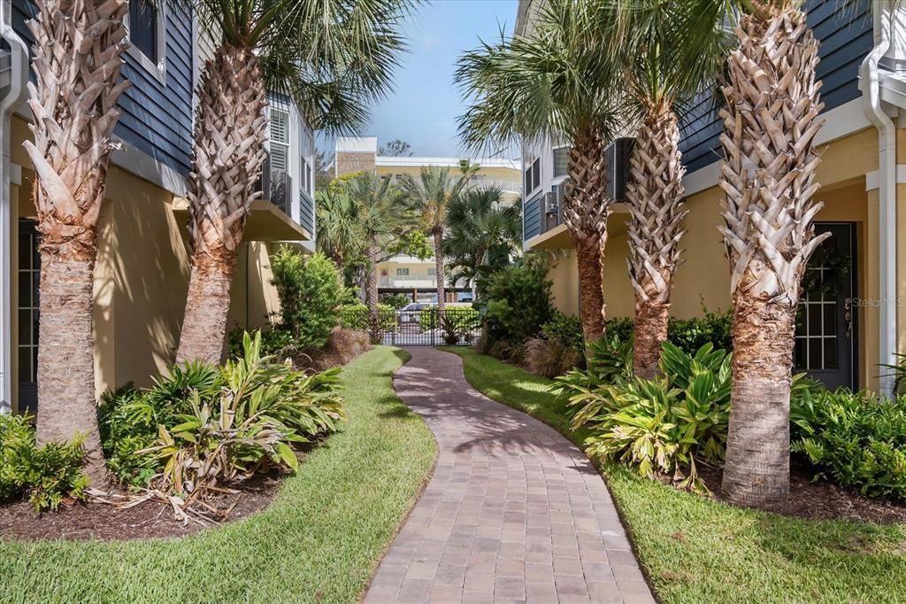 Winding Path to the community pool