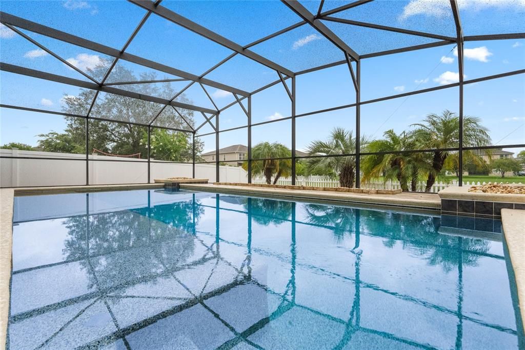 Beautiful Pool with Lagoon look overlooking Pond