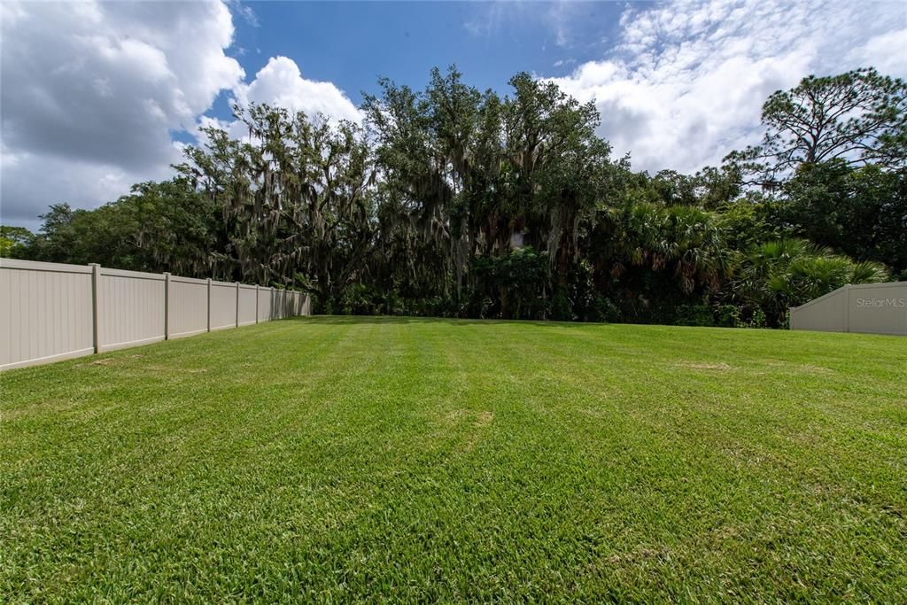 Oversized back yard view from patio