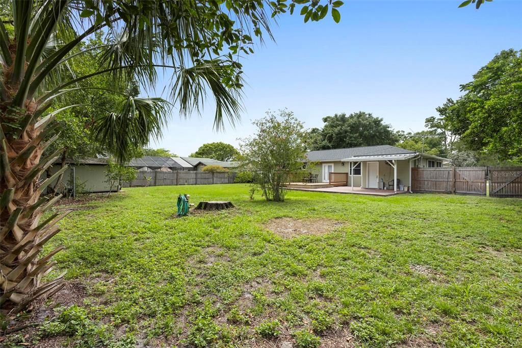 Spacious Backyard