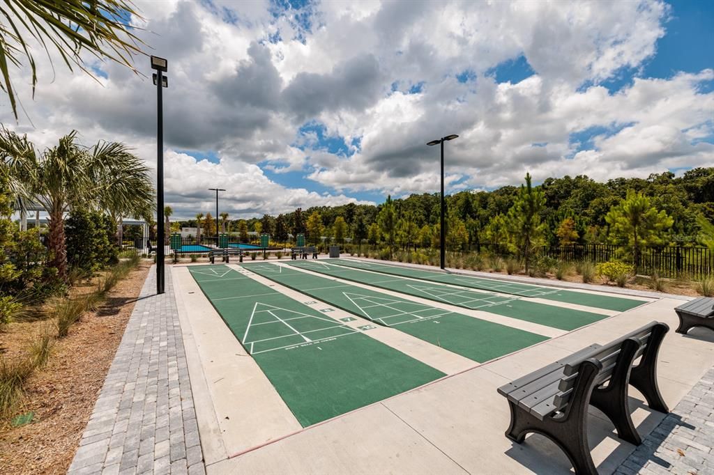 Shuffleboard Courts