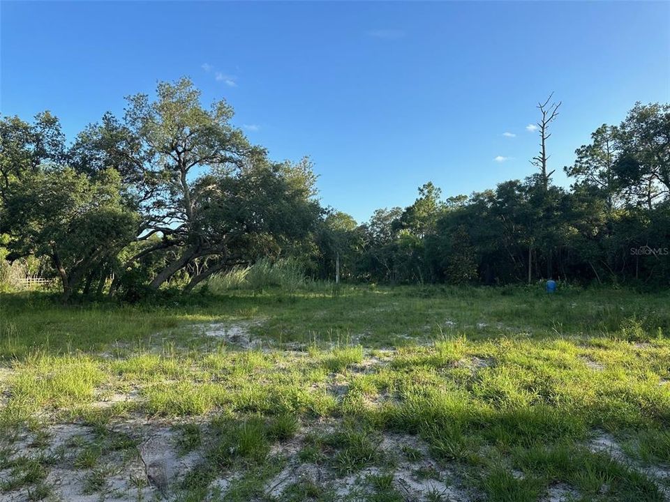 For Sale: $55,000 (1.25 acres)