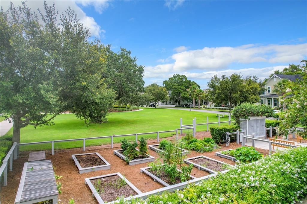 Community Gardens