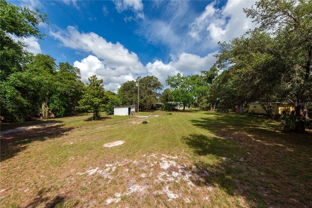 View from front yard near fence