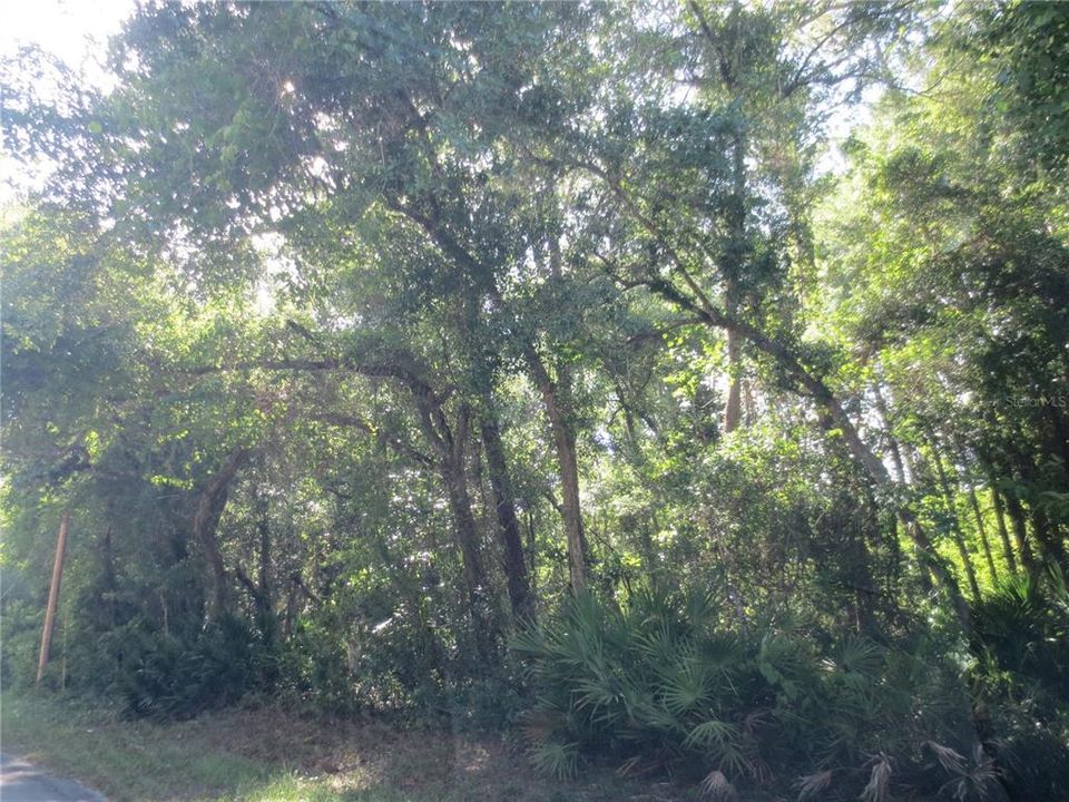 En Venta: $399,000 (31.80 acres)