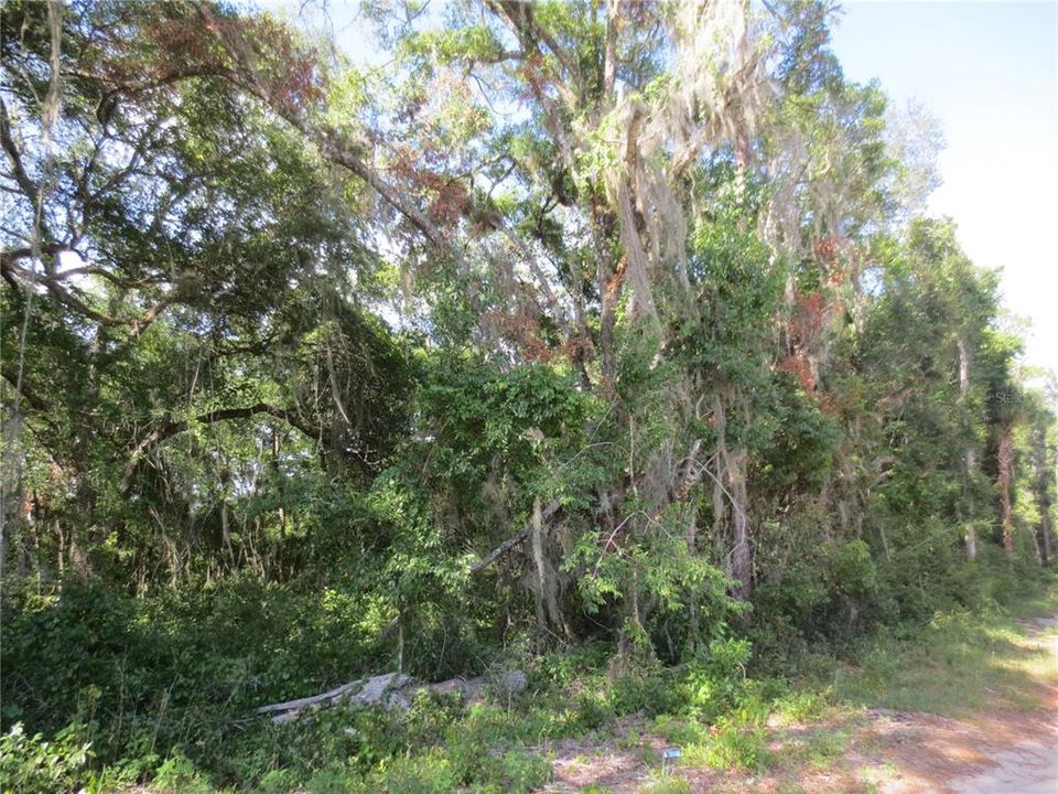 For Sale: $399,000 (31.80 acres)